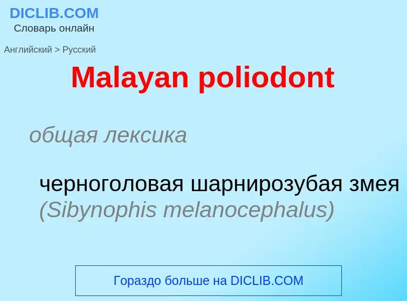 Как переводится Malayan poliodont на Русский язык