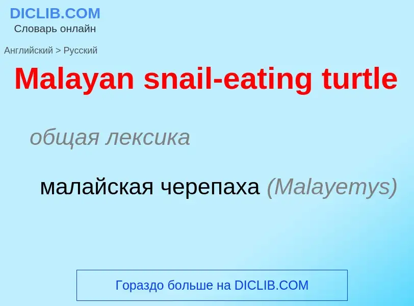 What is the Russian for Malayan snail-eating turtle? Translation of &#39Malayan snail-eating turtle&