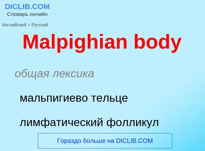 What is the Russian for Malpighian body? Translation of &#39Malpighian body&#39 to Russian