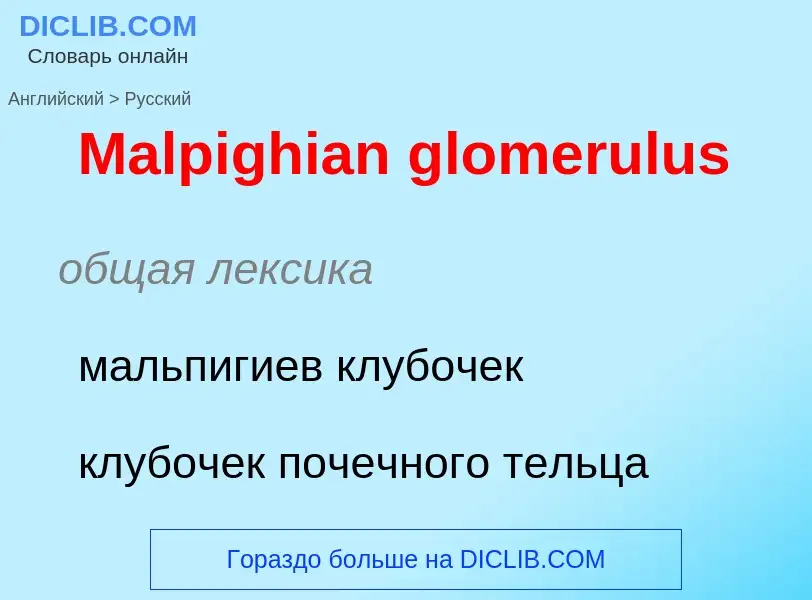 What is the Russian for Malpighian glomerulus? Translation of &#39Malpighian glomerulus&#39 to Russi