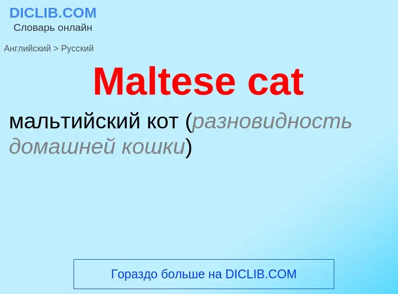 Как переводится Maltese cat на Русский язык