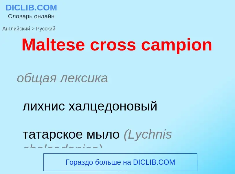 What is the Russian for Maltese cross campion? Translation of &#39Maltese cross campion&#39 to Russi