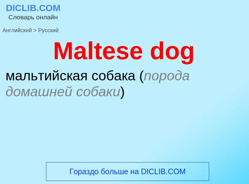 What is the Russian for Maltese dog? Translation of &#39Maltese dog&#39 to Russian