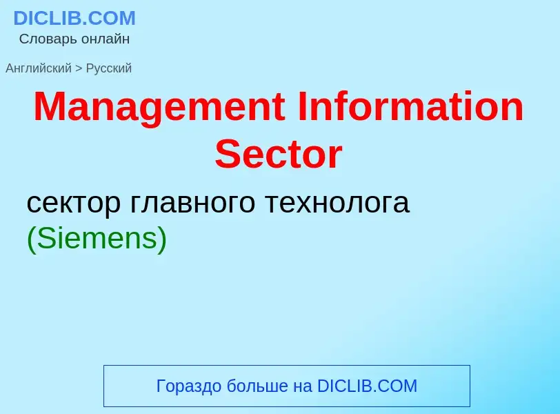 Как переводится Management Information Sector на Русский язык