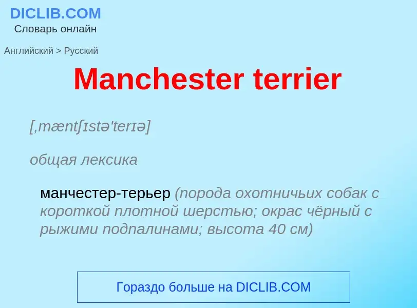 Как переводится Manchester terrier на Русский язык