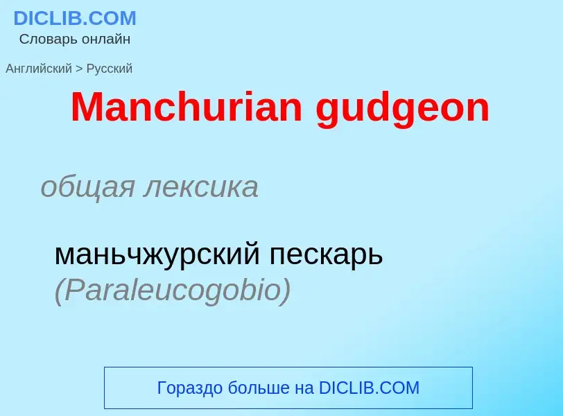 What is the Russian for Manchurian gudgeon? Translation of &#39Manchurian gudgeon&#39 to Russian