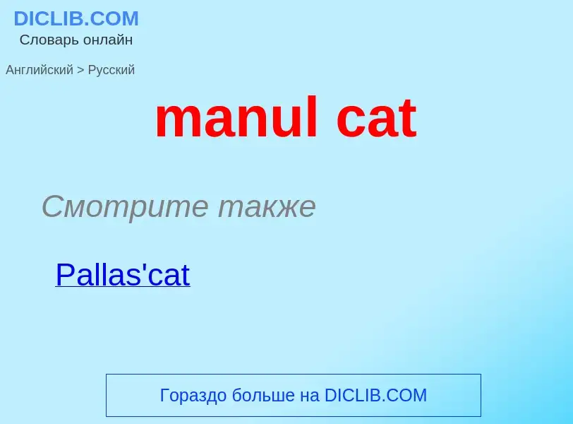 Как переводится manul cat на Русский язык