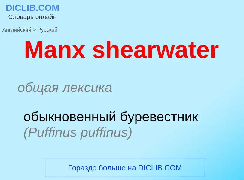 What is the Russian for Manx shearwater? Translation of &#39Manx shearwater&#39 to Russian