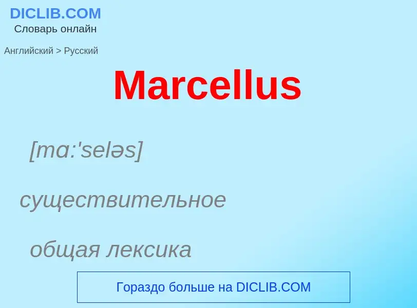 What is the Russian for Marcellus? Translation of &#39Marcellus&#39 to Russian