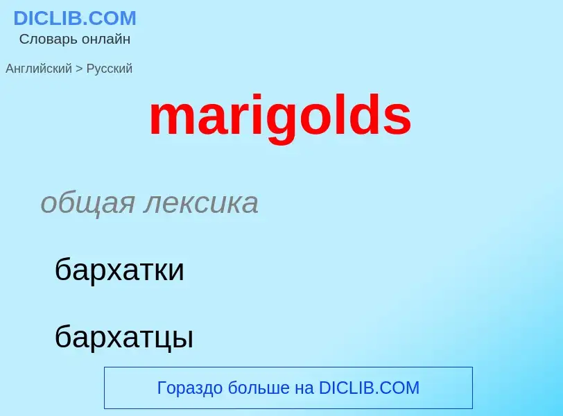 Как переводится marigolds на Русский язык