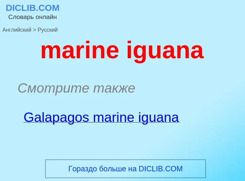 Как переводится marine iguana на Русский язык