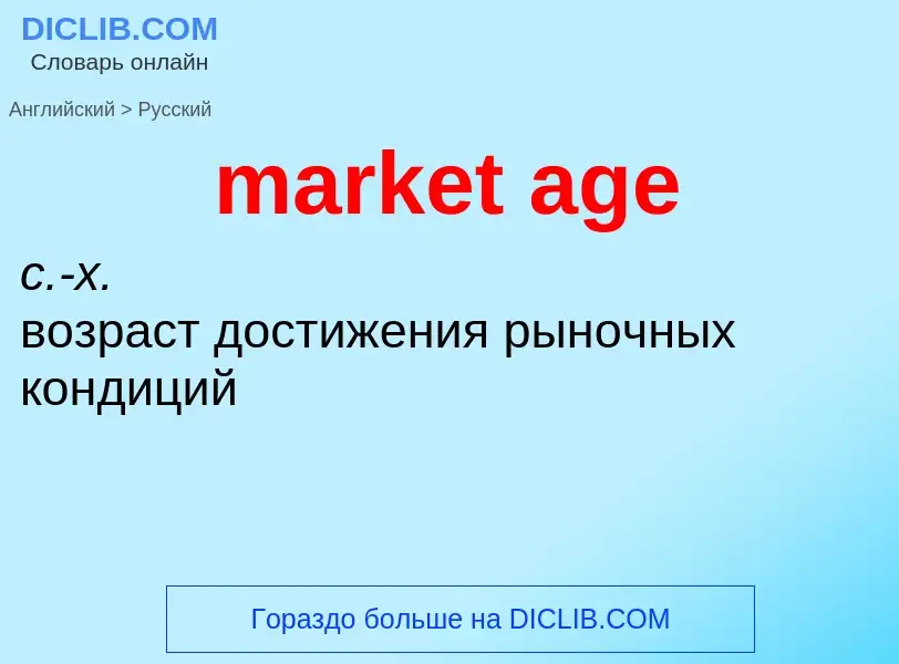 What is the Russian for market age? Translation of &#39market age&#39 to Russian