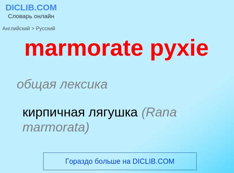 Μετάφραση του &#39marmorate pyxie&#39 σε Ρωσικά