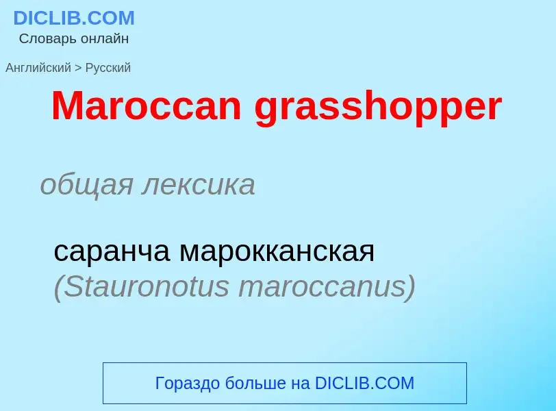 Как переводится Maroccan grasshopper на Русский язык