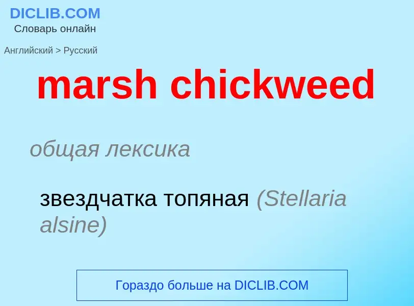 Vertaling van &#39marsh chickweed&#39 naar Russisch