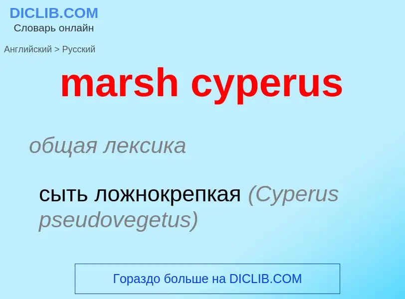 Как переводится marsh cyperus на Русский язык