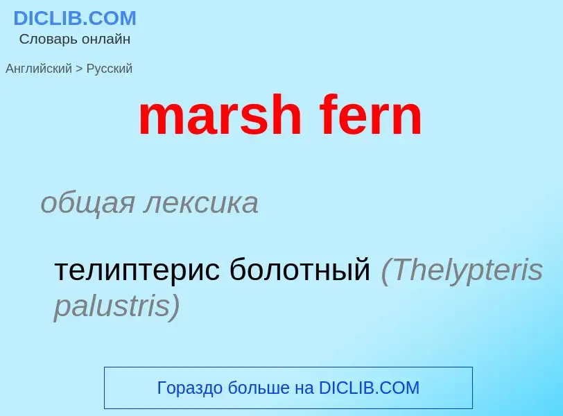 Como se diz marsh fern em Russo? Tradução de &#39marsh fern&#39 em Russo