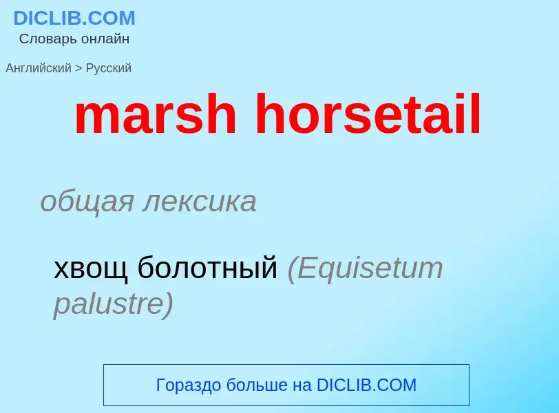 ¿Cómo se dice marsh horsetail en Ruso? Traducción de &#39marsh horsetail&#39 al Ruso