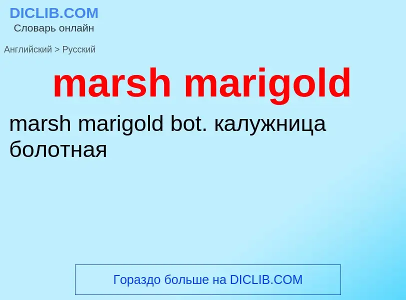 Как переводится marsh marigold на Русский язык