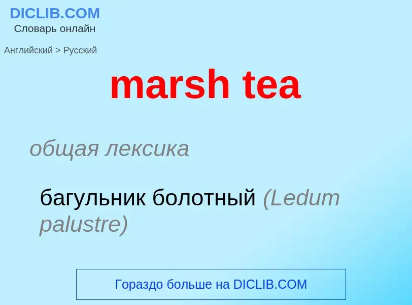 ¿Cómo se dice marsh tea en Ruso? Traducción de &#39marsh tea&#39 al Ruso