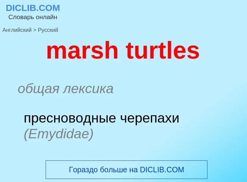 What is the Russian for marsh turtles? Translation of &#39marsh turtles&#39 to Russian