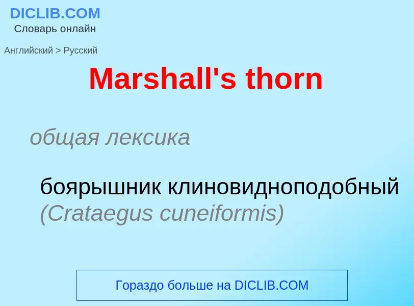 What is the Russian for Marshall's thorn? Translation of &#39Marshall's thorn&#39 to Russian