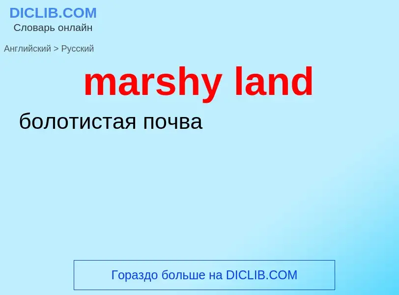 Traduzione di &#39marshy land&#39 in Russo