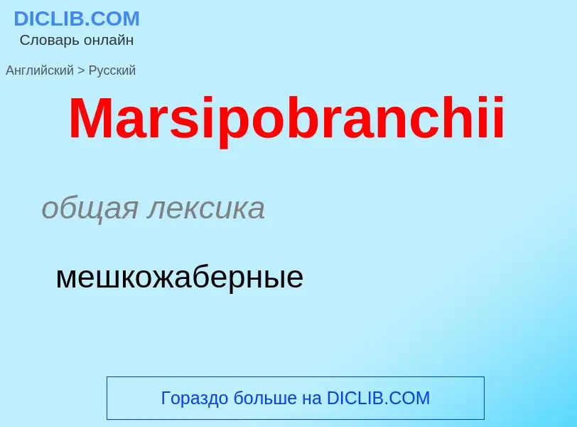 What is the Russian for Marsipobranchii? Translation of &#39Marsipobranchii&#39 to Russian