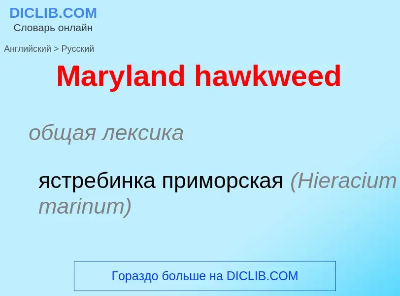 What is the Russian for Maryland hawkweed? Translation of &#39Maryland hawkweed&#39 to Russian