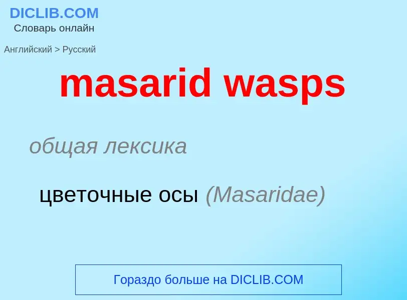 Μετάφραση του &#39masarid wasps&#39 σε Ρωσικά