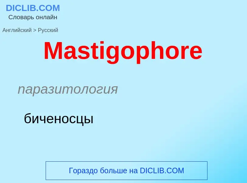 What is the Russian for Mastigophore? Translation of &#39Mastigophore&#39 to Russian