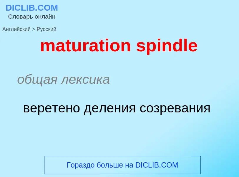 Как переводится maturation spindle на Русский язык