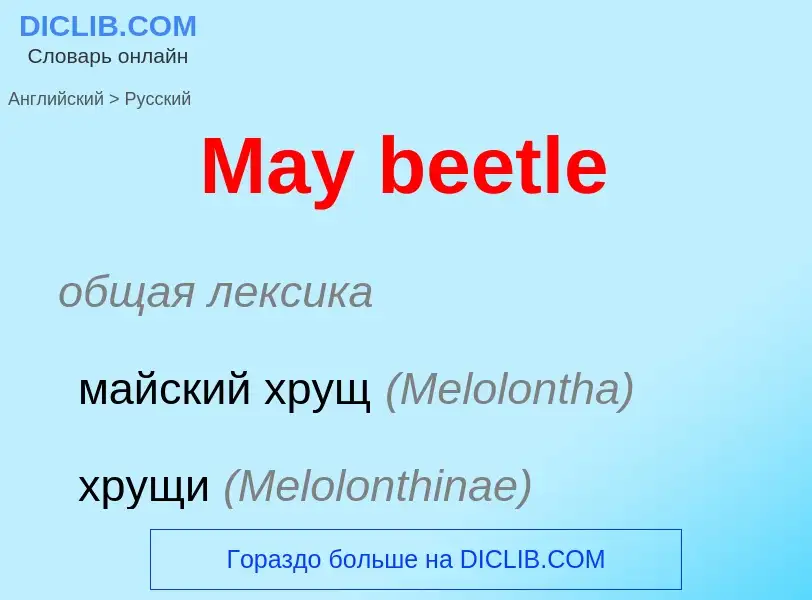 What is the Russian for May beetle? Translation of &#39May beetle&#39 to Russian