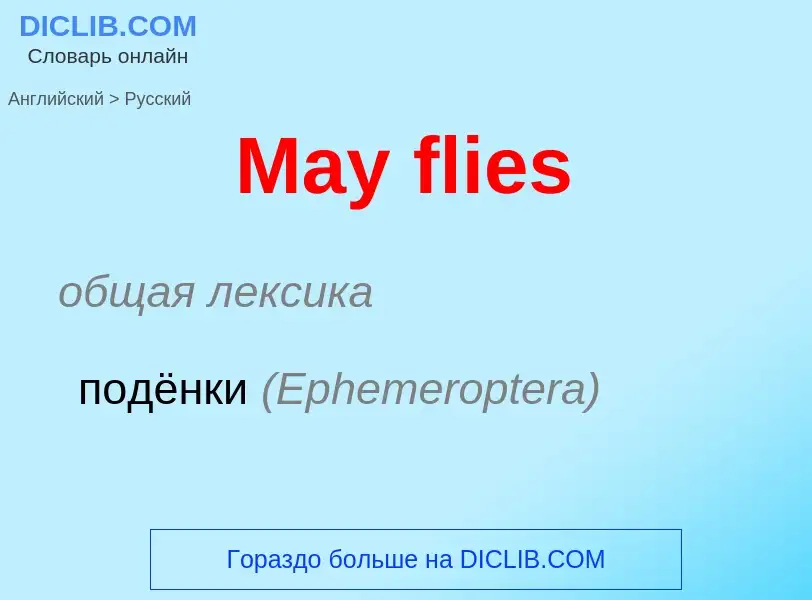 What is the Russian for May flies? Translation of &#39May flies&#39 to Russian