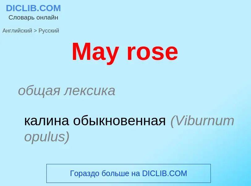 What is the Russian for May rose? Translation of &#39May rose&#39 to Russian