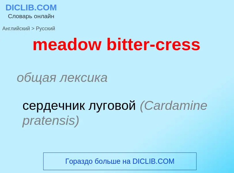 ¿Cómo se dice meadow bitter-cress en Ruso? Traducción de &#39meadow bitter-cress&#39 al Ruso