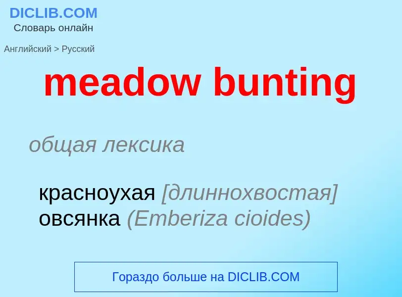 ¿Cómo se dice meadow bunting en Ruso? Traducción de &#39meadow bunting&#39 al Ruso