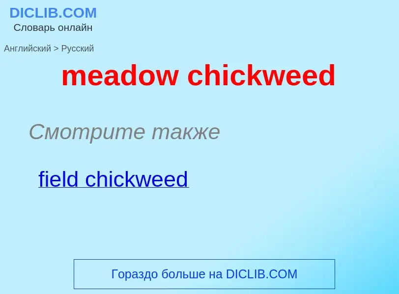 Vertaling van &#39meadow chickweed&#39 naar Russisch