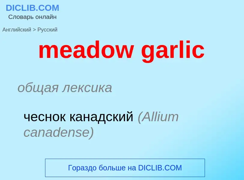 Как переводится meadow garlic на Русский язык