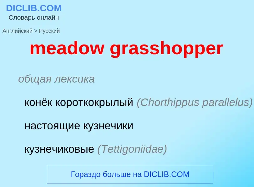 Как переводится meadow grasshopper на Русский язык