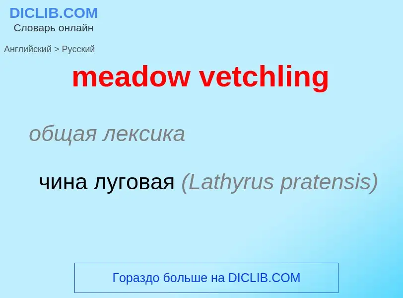 Как переводится meadow vetchling на Русский язык