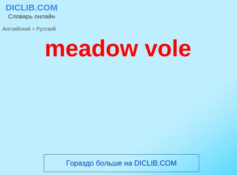 ¿Cómo se dice meadow vole en Ruso? Traducción de &#39meadow vole&#39 al Ruso