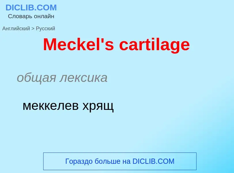 What is the Russian for Meckel's cartilage? Translation of &#39Meckel's cartilage&#39 to Russian