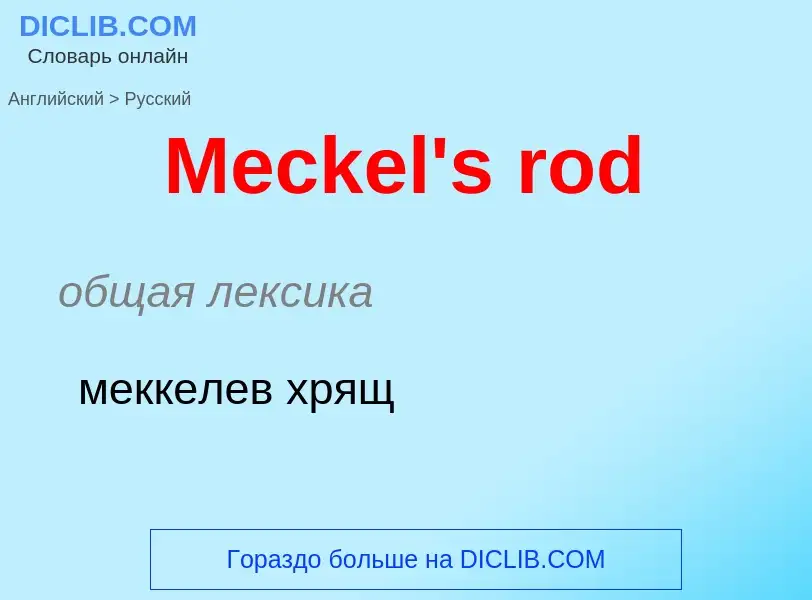 What is the Russian for Meckel's rod? Translation of &#39Meckel's rod&#39 to Russian