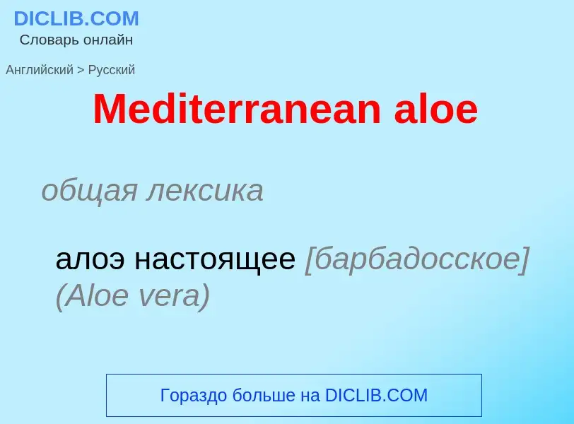 What is the Russian for Mediterranean aloe? Translation of &#39Mediterranean aloe&#39 to Russian