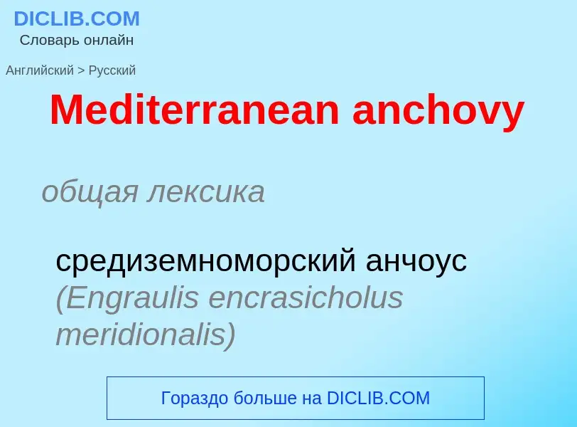 What is the Russian for Mediterranean anchovy? Translation of &#39Mediterranean anchovy&#39 to Russi