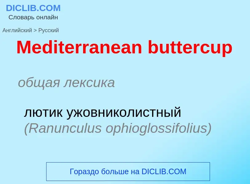 What is the Russian for Mediterranean buttercup? Translation of &#39Mediterranean buttercup&#39 to R