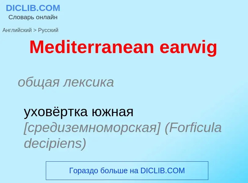 What is the Russian for Mediterranean earwig? Translation of &#39Mediterranean earwig&#39 to Russian