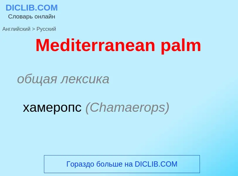 What is the Russian for Mediterranean palm? Translation of &#39Mediterranean palm&#39 to Russian