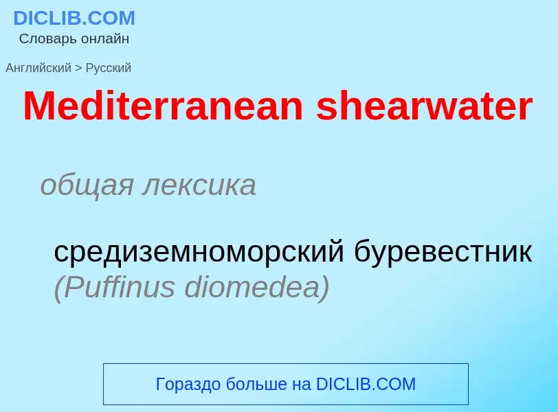 What is the Russian for Mediterranean shearwater? Translation of &#39Mediterranean shearwater&#39 to